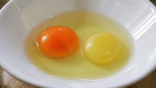 Pale Yolks, Thin Shells : What Your Flock's Feed Is Missing