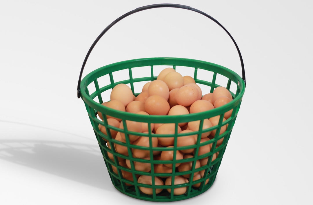 Egg Handling Supplies