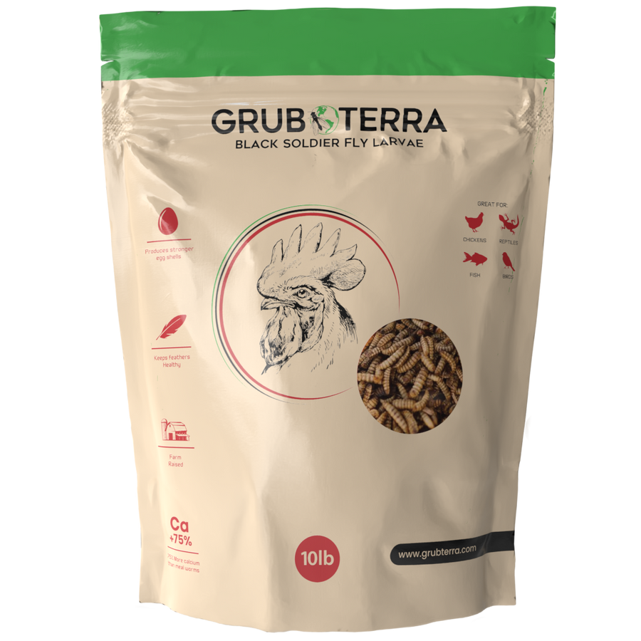 GrubTerra 10lb bag of dried black soldier fly larvae for premium chicken feed, showcasing protein-rich insect treats.
