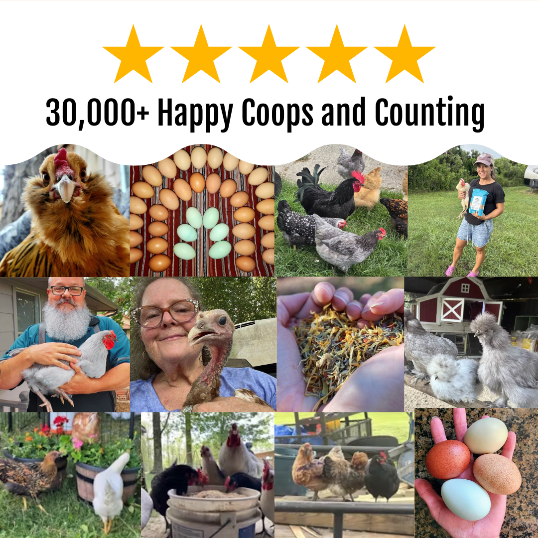 GrubFuel - Black Soldier Fly Larvae for chickens