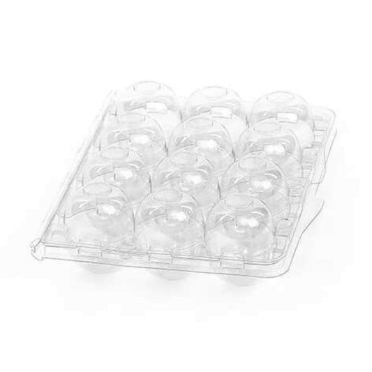 Clear plastic 12-egg carton for quail eggs by Hatching Time, ideal for display and commercial packaging.