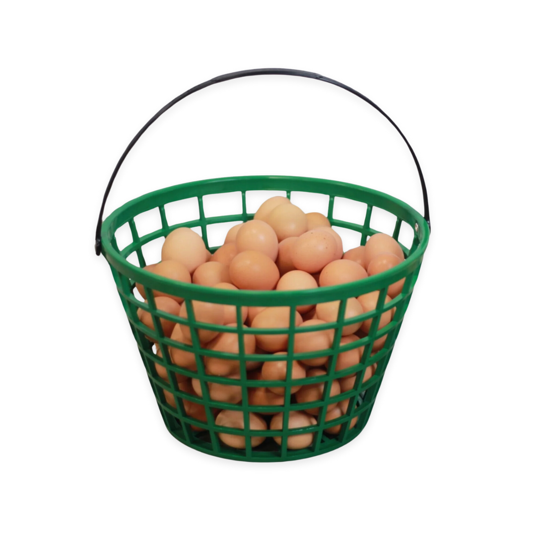 Green plastic egg basket from HenGear filled with brown eggs, perfect for collecting eggs in the backyard.