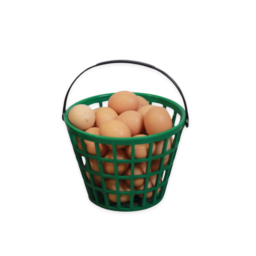 Green plastic EZ-Gather egg basket by HenGear filled with fresh eggs, ideal for backyard chicken supplies.
