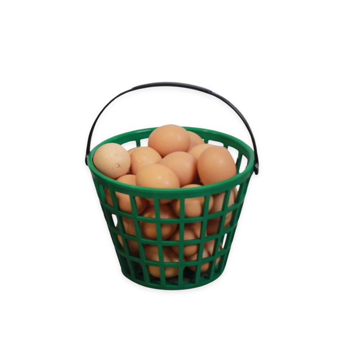 Green plastic EZ-Gather egg basket by HenGear filled with fresh eggs, ideal for backyard chicken supplies.
