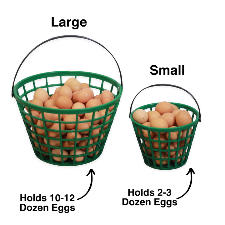 Green plastic egg basket set by HenGear, includes small (holds 2-3 dozen eggs) and large (holds 10-12 dozen eggs) sizes.