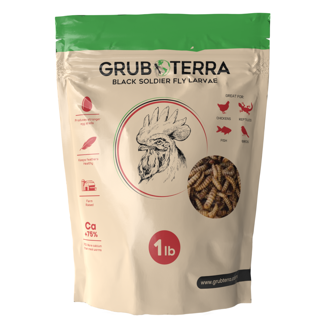 1lb bag of GrubTerra dried black soldier fly larvae for premium chicken treats, featuring a resealable top