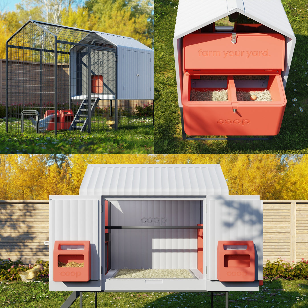 Smart Automated Chicken Coop + Steel Run - AI Cameras & App Control