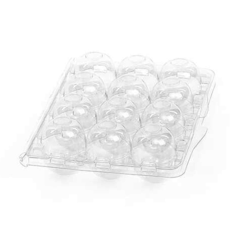Clear plastic 12-egg carton for quail eggs, by Hatching Time, suitable for commercial egg packaging.