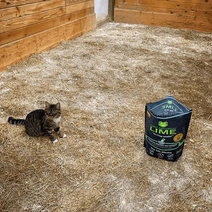 First Saturday Lime Safe Natural Insect Repellent & Odor Control