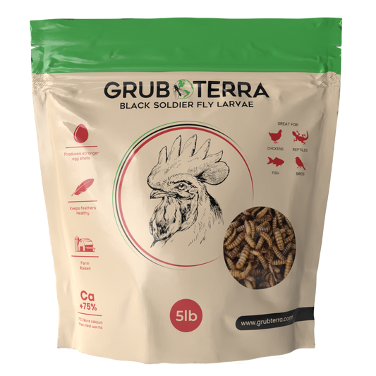 GrubTerra 10lb bag of dried black soldier fly larvae for premium chicken feed, showcasing protein-rich insect treats.