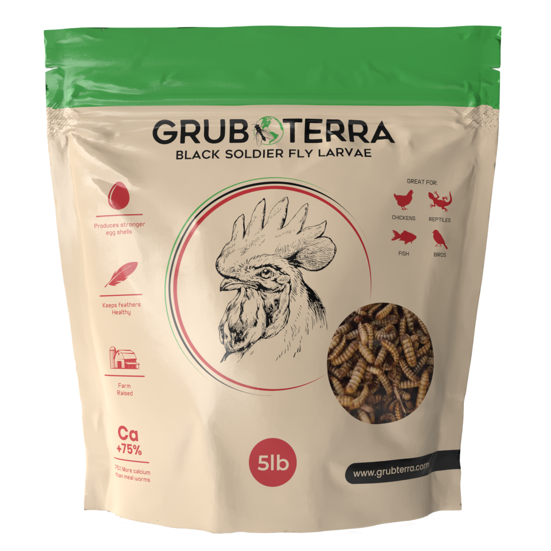 GrubTerra 5 lb premium dried black soldier fly larvae for poultry, rich in calcium and balanced in phosphorus.