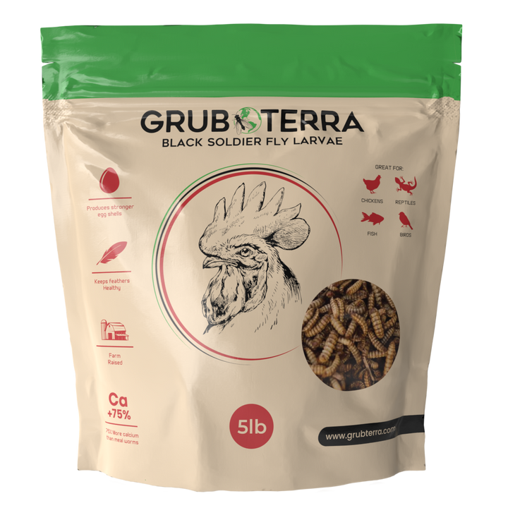 GrubTerra 5 lb premium dried black soldier fly larvae for poultry, rich in calcium and balanced in phosphorus.