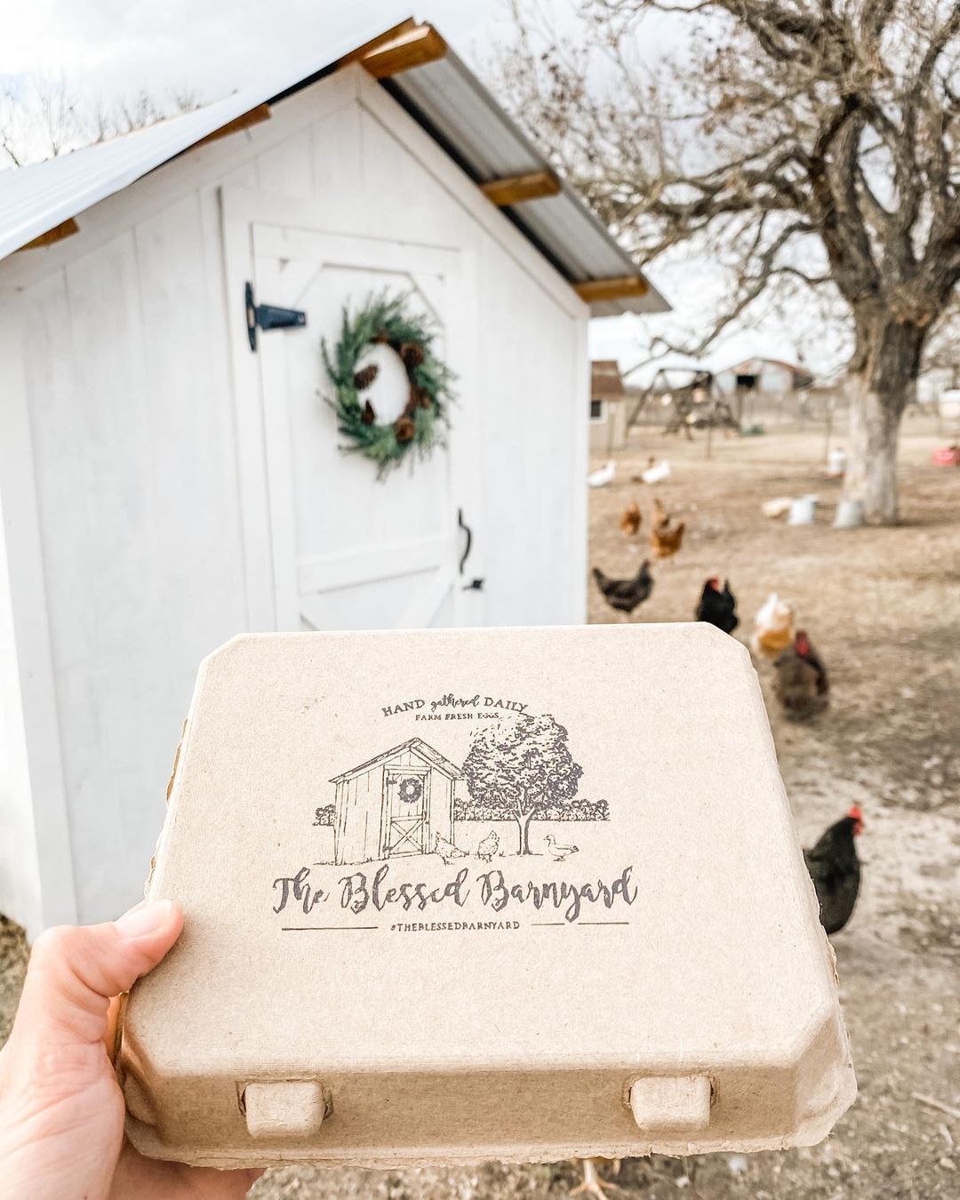 Tan and white vintage cardboard egg cartons with 3x4 design, available in packs of 25, 65, or 200 by My Pet Chicken.