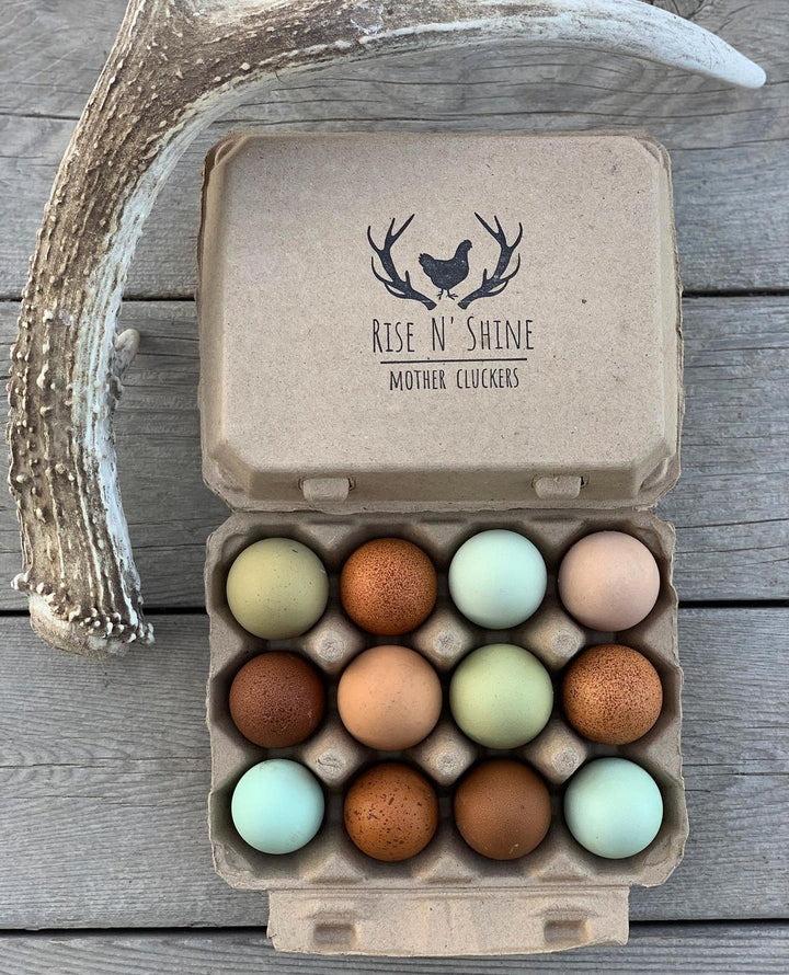 Henlay Vintage Cardboard Egg Cartons 3x4 Design - Tan/White 25-200 Pack
