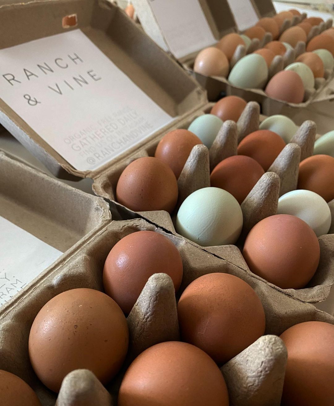 Henlay Vintage Cardboard Egg Cartons 3x4 Design - Tan/White 25-200 Pack