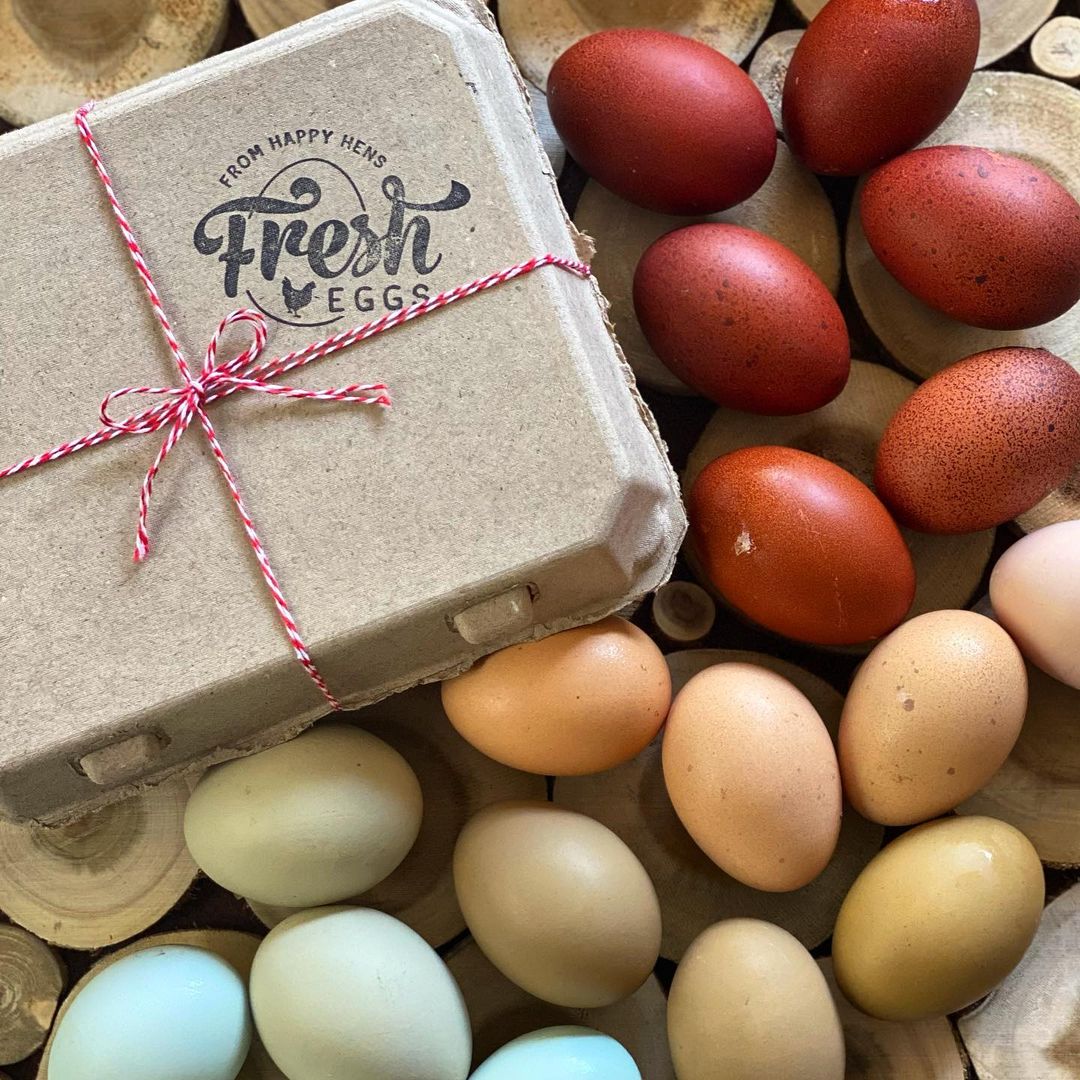Henlay Vintage Cardboard Egg Cartons 3x4 Design - Tan/White 25-200 Pack
