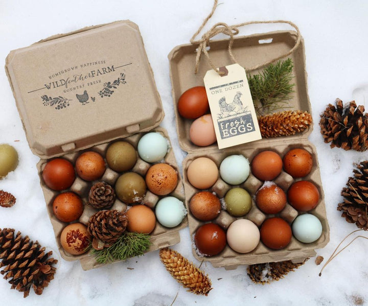 Henlay Vintage Cardboard Egg Cartons 3x4 Design - Tan/White 25-200 Pack