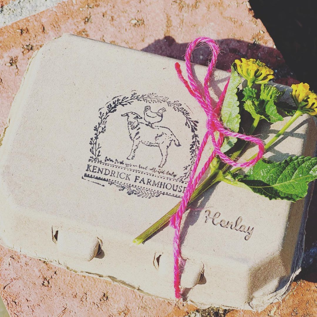 Recycled cardboard egg cartons in white and tan, 6-pack by My Pet Chicken, ideal for backyard chickens