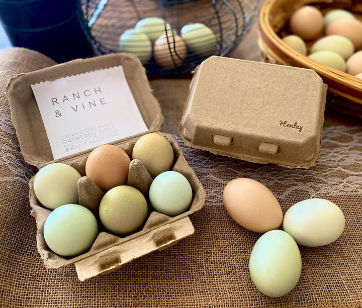 Recycled cardboard egg cartons in white and tan, 6-pack, featuring a blank top for custom branding.