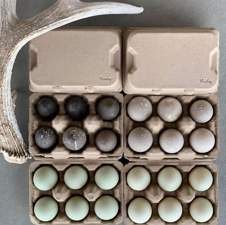 White recycled cardboard 6-count egg cartons for duck eggs by My Pet Chicken