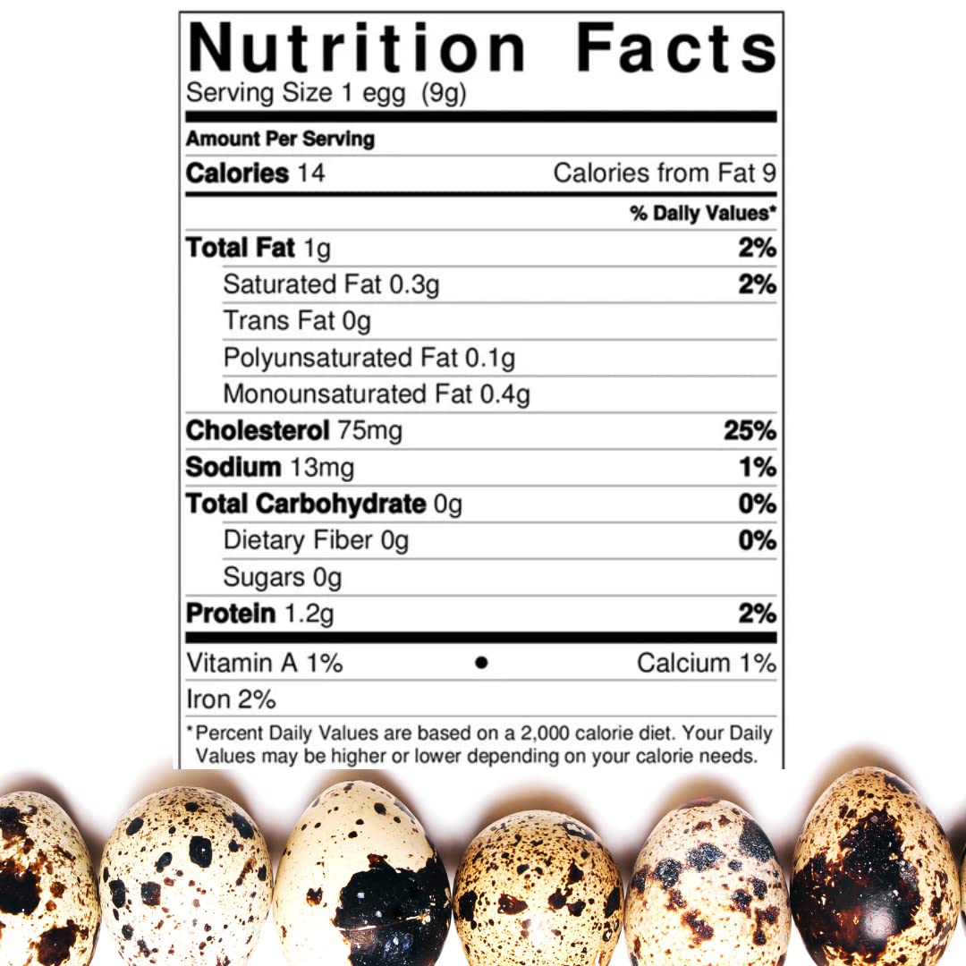 Fertile Jumbo Coturnix Quail Hatching Eggs - Pharaoh & Italian Mix