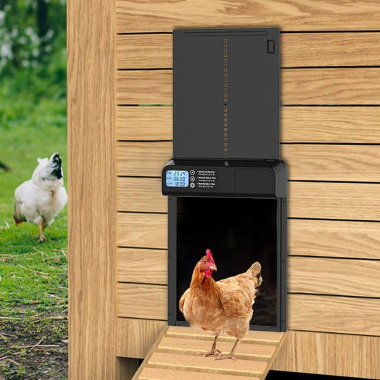 Weatherproof aluminum chicken coop door timer with anti-trap safety feature, by Hatching Time