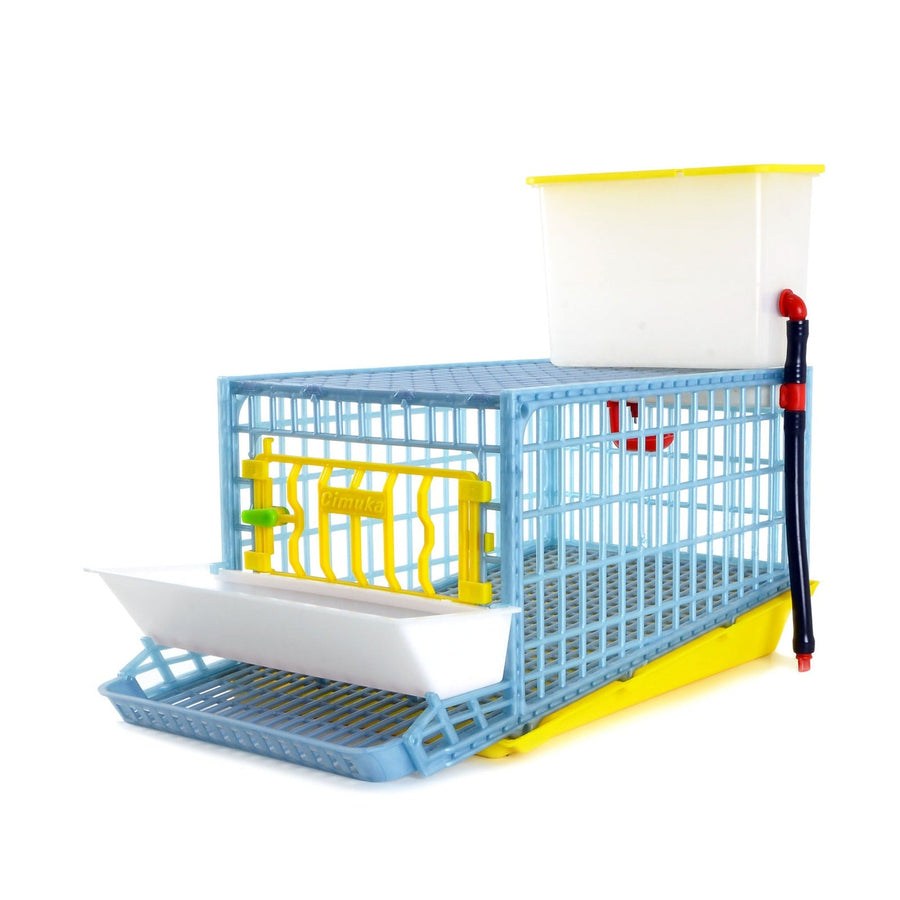 Cimuka plastic quail breeding cage for 5 birds, featuring traditional flooring, ideal for classroom breeding.