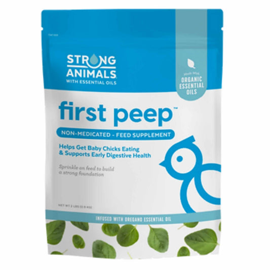 Baby Chick Care Kit from Hatching Time with feed, waterer, and bedding for chick health and nutrition.