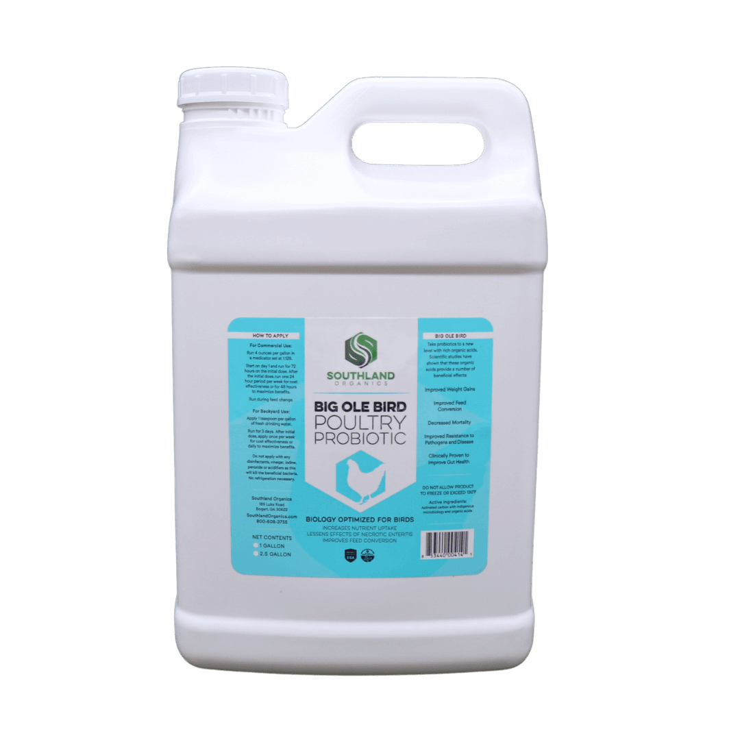 Southland Organics Big Ole Bird probiotics for poultry in a 2.5-gallon container, designed for flock health and digestion.