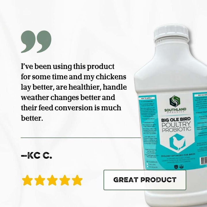 Southland Organics Big Ole Bird probiotics for poultry in 2.5 Gallon container, promoting bird digestive health.
