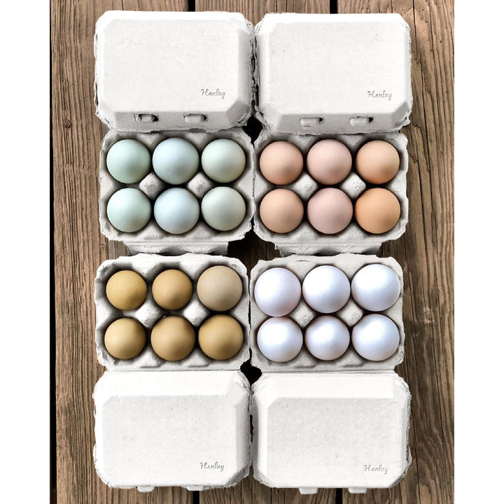 Henlay Half Dozen Egg Cartons - Recycled Cardboard, 6-Pack, White/Tan