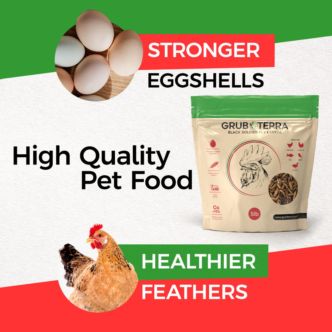 GrubTerra 5 lb premium dried black soldier fly larvae, rich in calcium, suitable for poultry feed