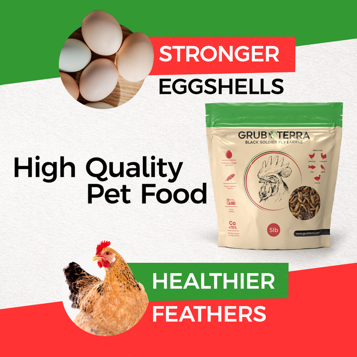 GrubTerra 5 lb premium dried black soldier fly larvae, rich in calcium, suitable for poultry feed
