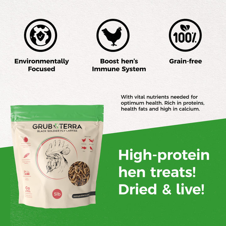 GrubTerra dried black soldier fly larvae in a 1lb package, premium chicken treat for pets