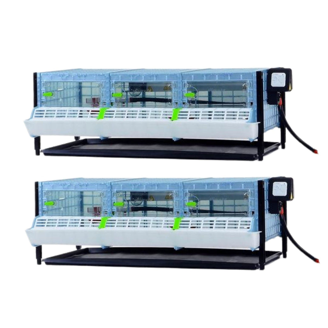 Double layer, 9.5-inch chick brooder by Hatching Time with automatic heater features