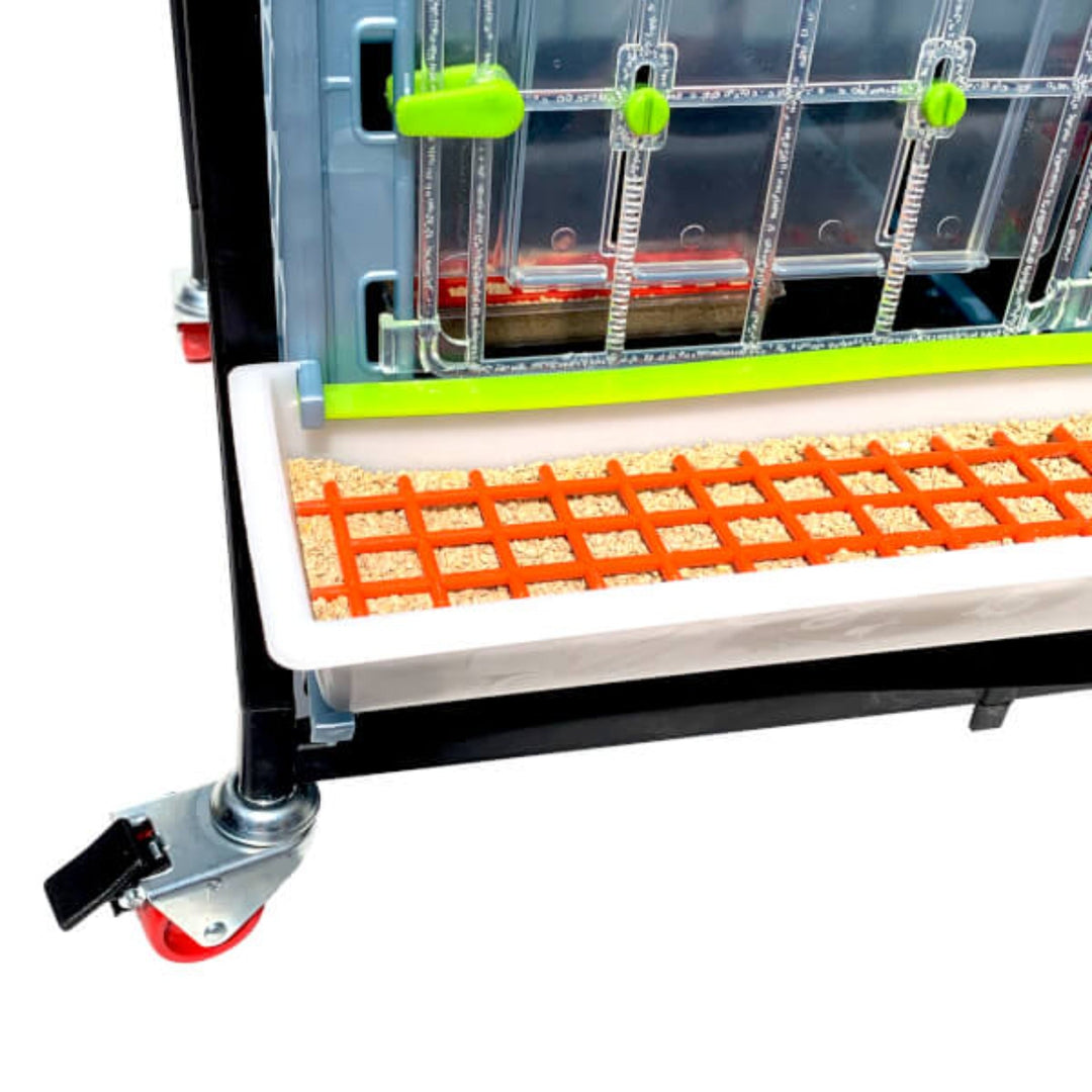 4-layer chick brooder in white plastic, 15 inches high, designed for preventing splay leg, by Hatching Time.