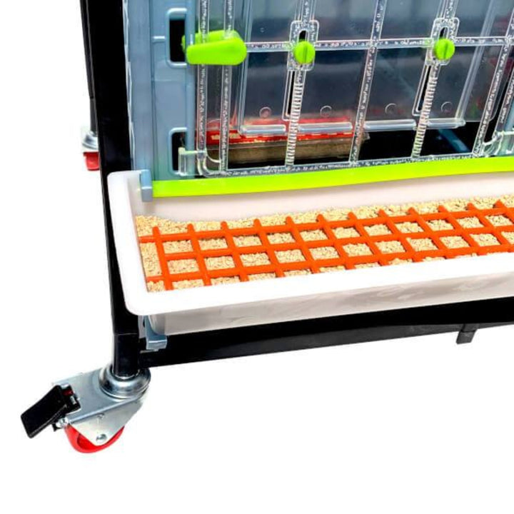 3-layer chick brooder by Hatching Time, 15 inches tall, designed for anti-splay leg support for baby birds.