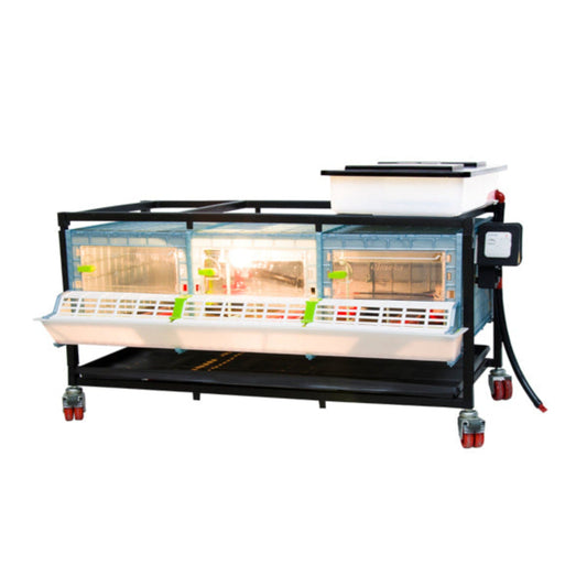 1-layer chick brooder with automatic heating, 30-chick capacity, by Hatching Time, 9.5 inches high