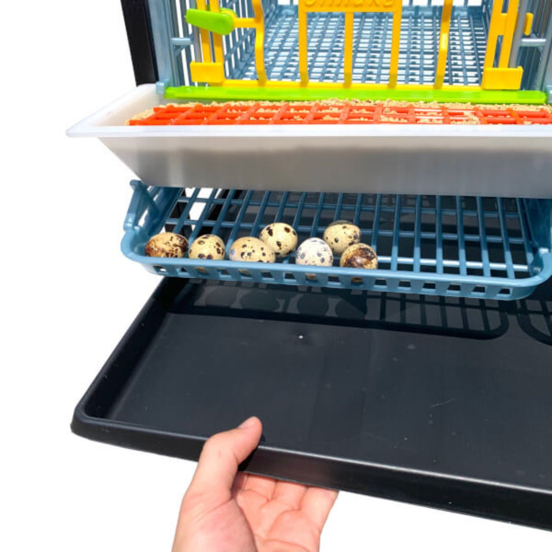 Stackable plastic quail cage by Hatching Time, 1 layer, holds up to 15 birds, featuring durable material in green color.