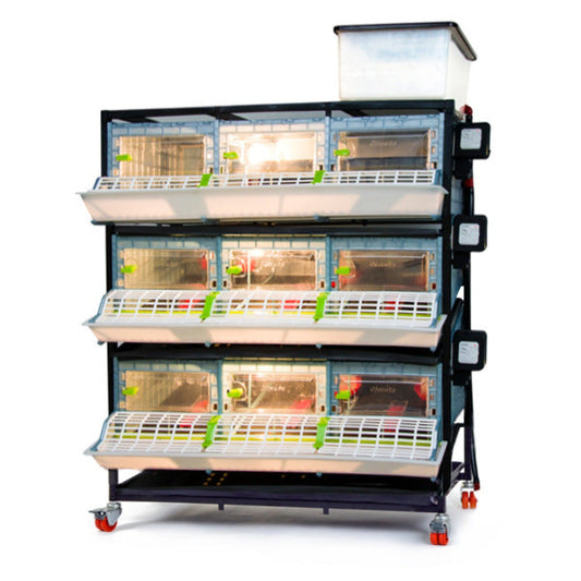 3-layer chick brooder by Hatching Time, 9.5-inch height, accommodates up to 90 quail with automatic heating.