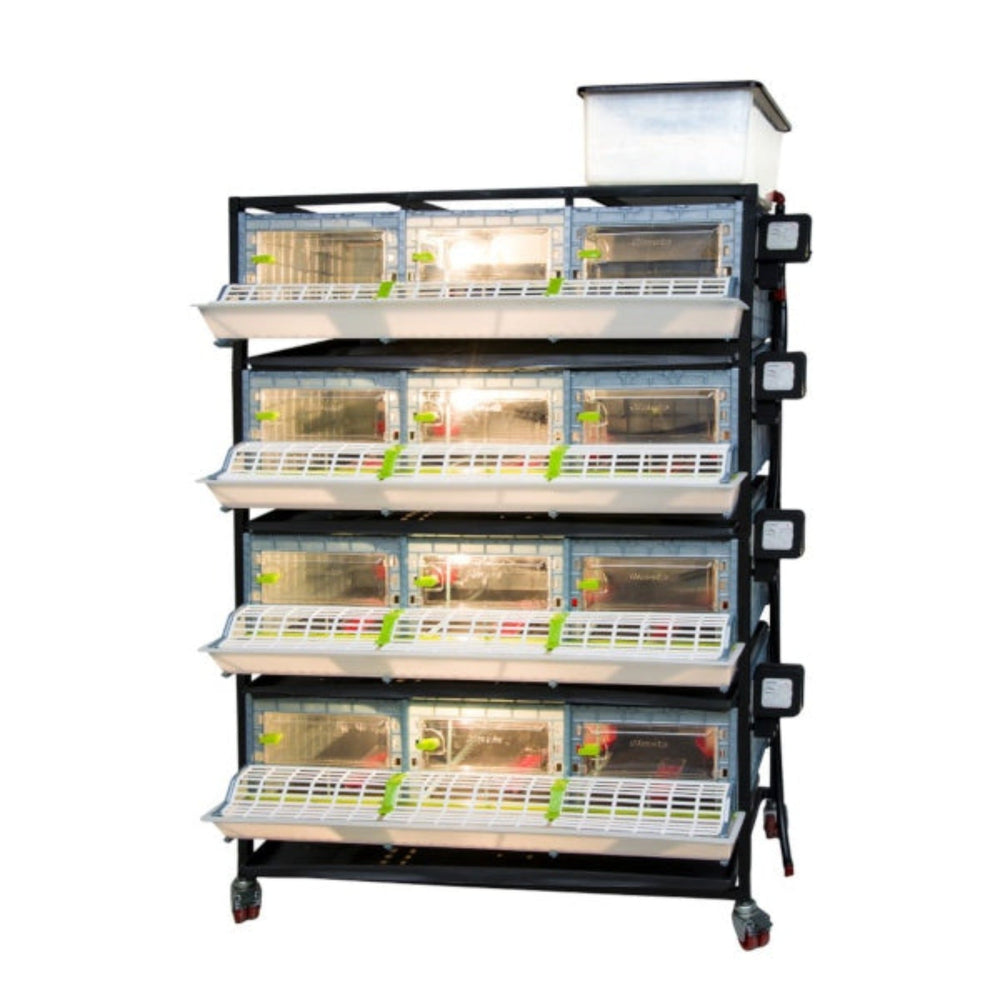4-layer chick brooder with automatic heating, 9.5-inch height, suitable for 120 quails by Hatching Time
