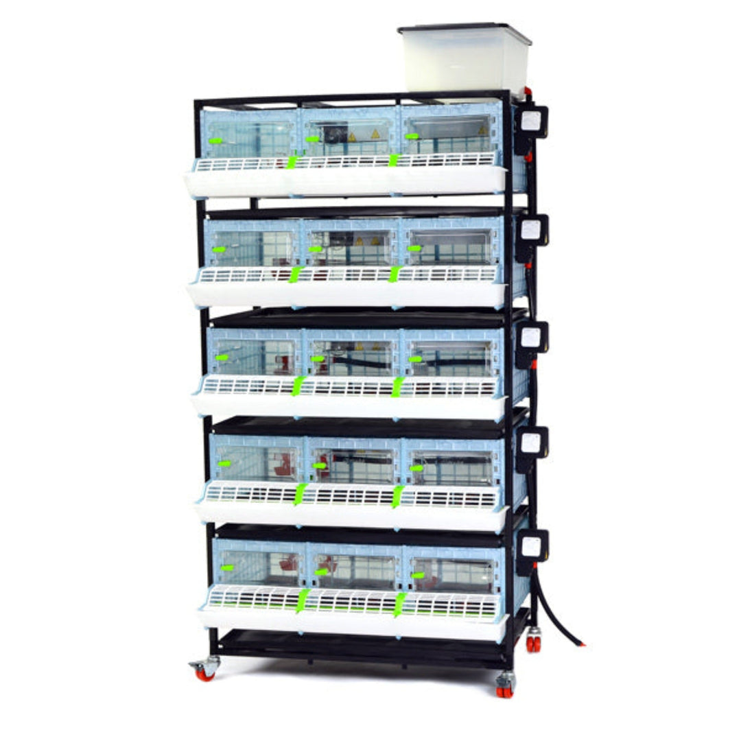 Five-layer plastic chick brooder, 9.5 inches high, by Hatching Time, designed for comfortable chick housing.