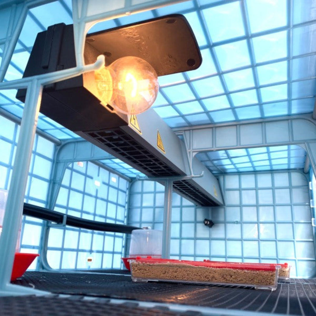 Criadora de pollitos - 5 capas Alto: 9,5"