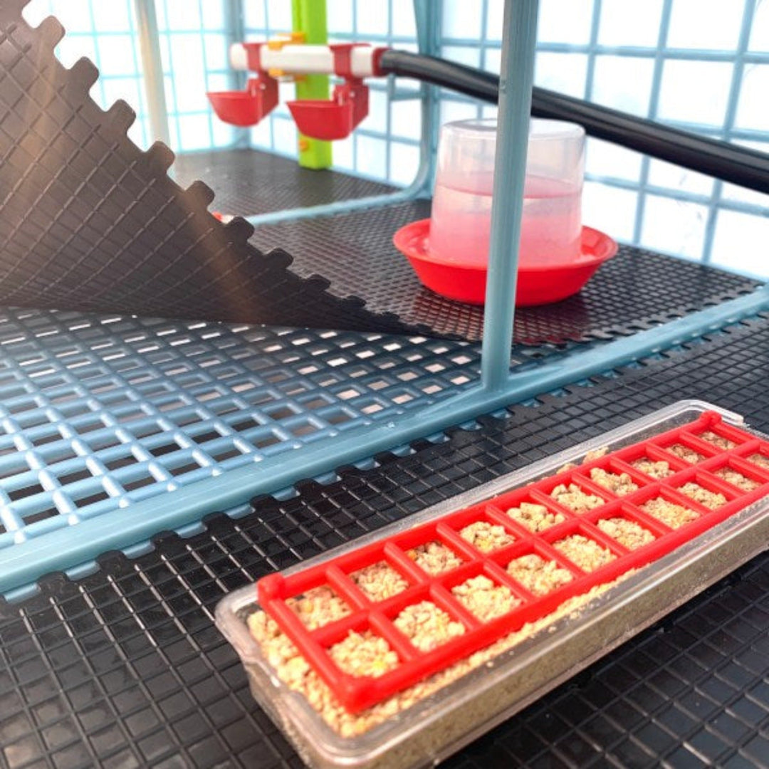 Criadora de pollitos - 3 capas Alto: 9,5"