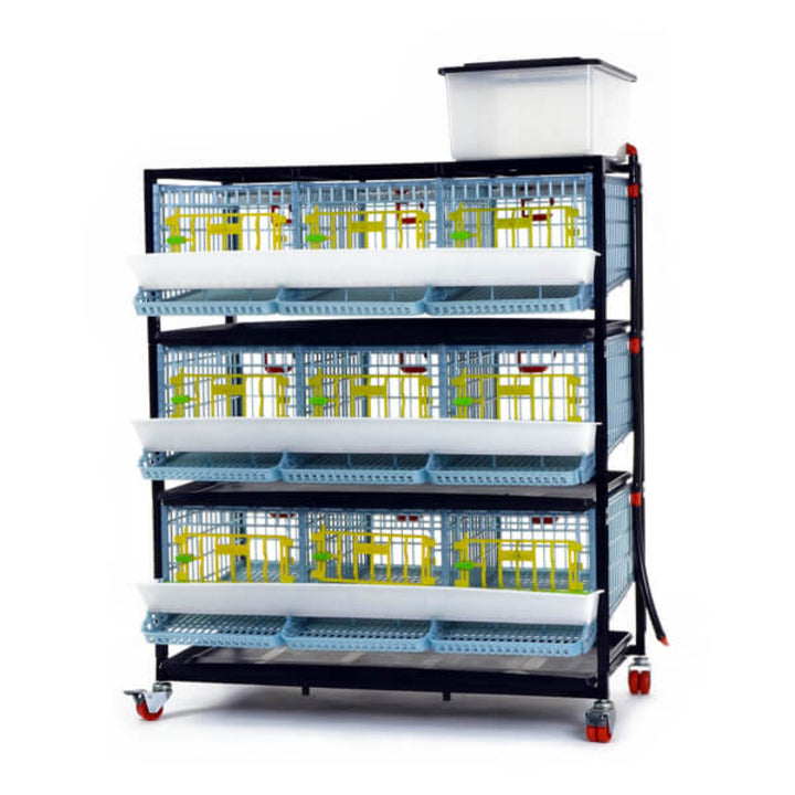 Cimuka 3-layer plastic quail breeding cage for 15 birds, featuring traditional or jumbo quail flooring options.