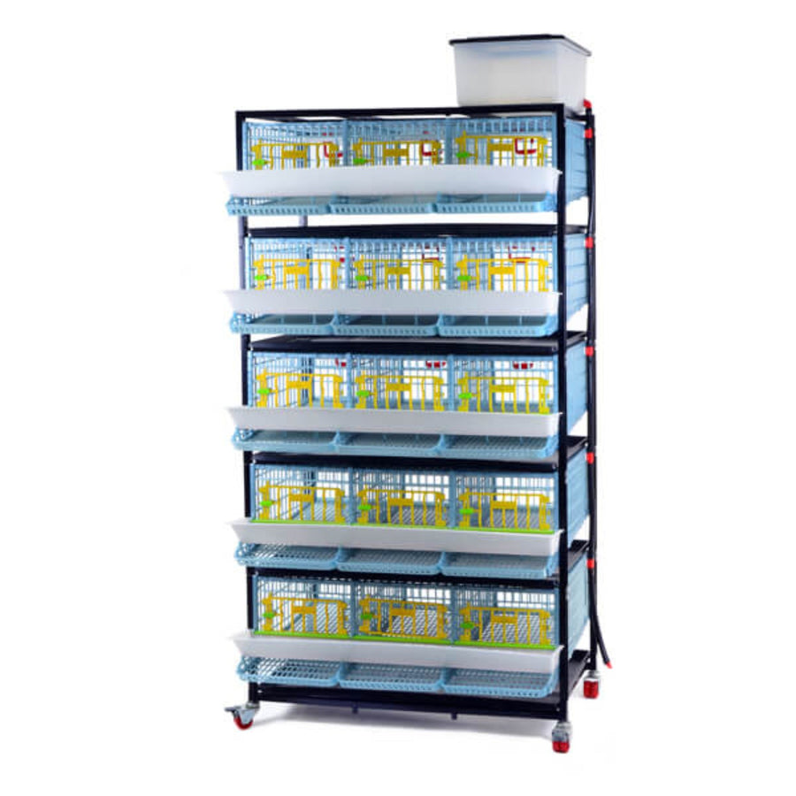 5-layer stackable plastic quail breeding cage by Hatching Time, featuring traditional flooring and a gravity-fed water syste