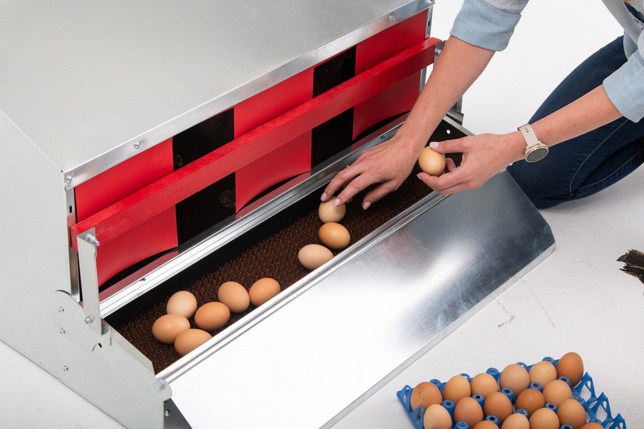 HenGear 34" Galvanized Steel Rollout Nest Box - 32 Hens