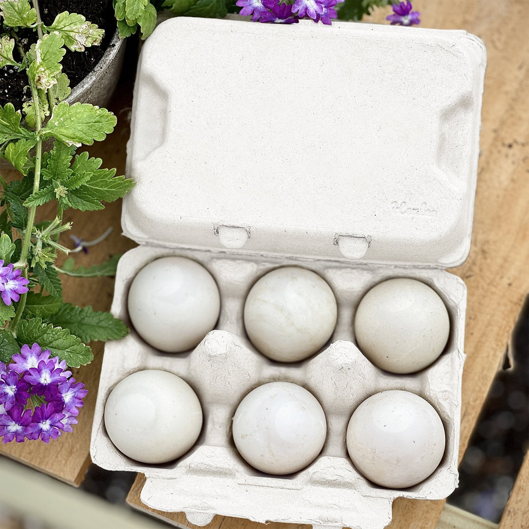White recycled cardboard egg cartons for duck eggs, 6-count, by My Pet Chicken.