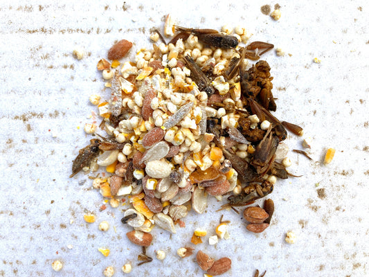 Henergy textured chicken treat in a white bag featuring black soldier fly larvae, designed for chicken wellness and enrichme