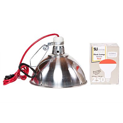 Economy Chick Starter Kit - Complete Baby Chicken Brooder Set